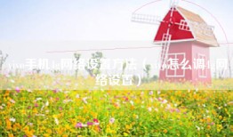 vivo手机4g网络设置方法（vivo怎么调4g网络设置）