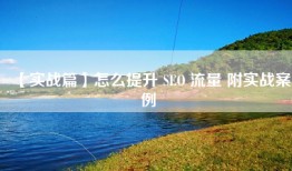 【实战篇】怎么提升 SEO 流量 附实战案例