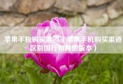 苹果手机购买渠道（苹果手机购买渠道区别国行和其他版本）