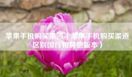 苹果手机购买渠道（苹果手机购买渠道区别国行和其他版本）