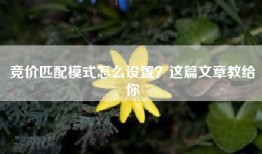 竞价匹配模式怎么设置？这篇文章教给你