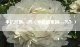 手机能换cpu吗（手机能更换cpu吗？）