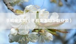手机金太阳（手机金太阳下载安装）