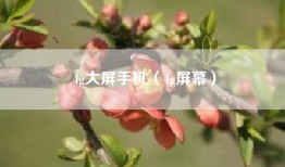 4g大屏手机（4g屏幕）