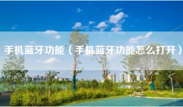 手机蓝牙功能（手机蓝牙功能怎么打开）