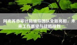 阿克苏市审计局领导团队全新亮相，未来工作展望与战略规划
