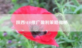 陕西SEO推广盈利策略揭秘