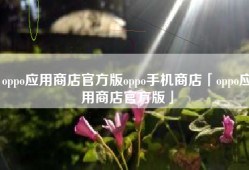 oppo应用商店官方版oppo手机商店「oppo应用商店官方版」