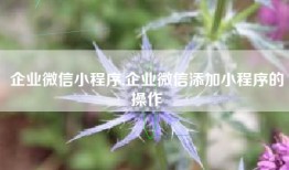 企业微信小程序,企业微信添加小程序的操作
