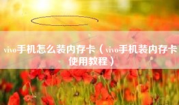 vivo手机怎么装内存卡（vivo手机装内存卡使用教程）