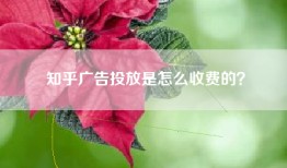 知乎广告投放是怎么收费的？