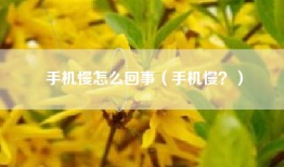 手机慢怎么回事（手机慢？）