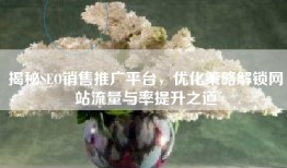 揭秘SEO销售推广平台，优化策略解锁网站流量与率提升之道