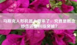 马斯克人形机器人要来了，究竟是概念炒作还是科技突破？