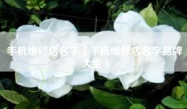 手机维修店名字（手机维修店名字品牌大全）