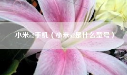 小米a2手机（小米a2是什么型号）