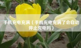 手机充电充满（手机充电充满了会自动停止充电吗）