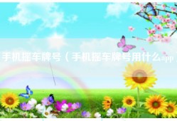 手机摇车牌号（手机摇车牌号用什么app）