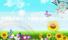 手机摇车牌号（手机摇车牌号用什么app）