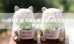 SEO效果汇报,详细分析关键词优化步骤及其成果