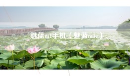 魅蓝m1手机（魅蓝m1e）