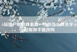 b站用户昵称具有唯一性吗怎么改名字-b站昵称不能改吗
