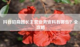 抖音招商团长主营业务资料有哪些？全攻略