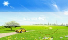 Redis RDB 开启