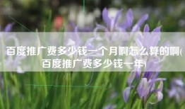 百度推广费多少钱一个月啊怎么算的啊(百度推广费多少钱一年)