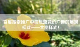 百度搜索推广中信息流竞价广告的展现样式——大图样式！