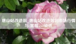 唐山站改造前_唐山站改造前的市场行情与(黑帽seo)资讯
