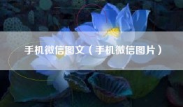 手机微信图文（手机微信图片）