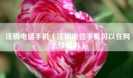 注销电信手机（注销电信手机可以在网上注销吗）