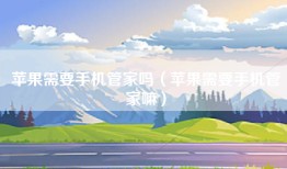 苹果需要手机管家吗（苹果需要手机管家嘛）