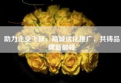 助力企业飞跃，商城优化推广，共铸品牌新巅峰