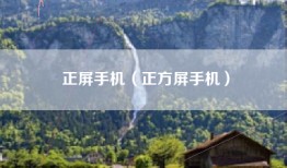 正屏手机（正方屏手机）