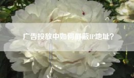 广告投放中如何屏蔽IP地址？