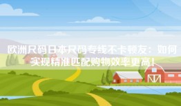 欧洲尺码日本尺码专线不卡顿友：如何实现精准匹配购物效率更高！