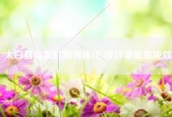 太白县服务机制再优化 项目审批显成效