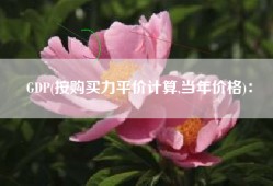 GDP(按购买力平价计算,当年价格)：