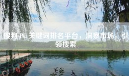 搜狗 PC 关键词排名平台，洞察市场，引领搜索