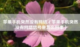 苹果手机突然没有网络（苹果手机突然没有网络信号是怎么回事）