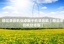 精品录音机安卓版手机录音机「精品录音机安卓版」