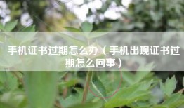 手机证书过期怎么办（手机出现证书过期怎么回事）