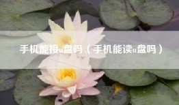 手机能接u盘吗（手机能读u盘吗）