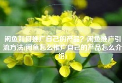 闲鱼如何推广自己的产品？闲鱼推广引流方法(闲鱼怎么推广自己的产品怎么介绍)