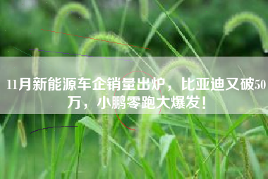 11月新能源车企销量出炉，比亚迪又破50万，小鹏零跑大爆发！