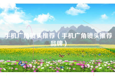 手机广角镜头推荐（手机广角镜头推荐品牌）