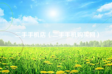 二手手机店（二手手机购买网）