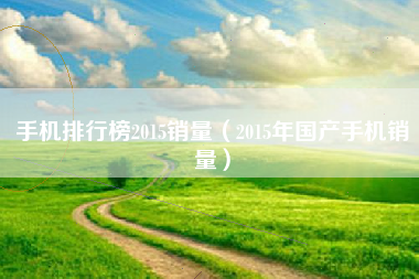 手机排行榜2015销量（2015年国产手机销量）
